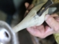 5N8C5298.JPG